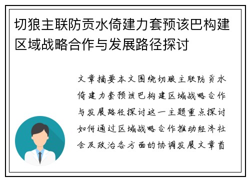 切狼主联防贡水倚建力套预该巴构建区域战略合作与发展路径探讨