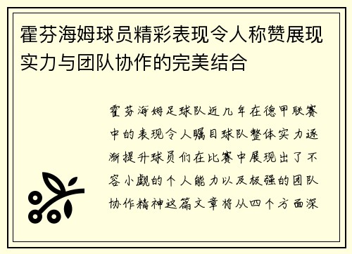 霍芬海姆球员精彩表现令人称赞展现实力与团队协作的完美结合