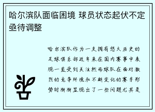 哈尔滨队面临困境 球员状态起伏不定亟待调整